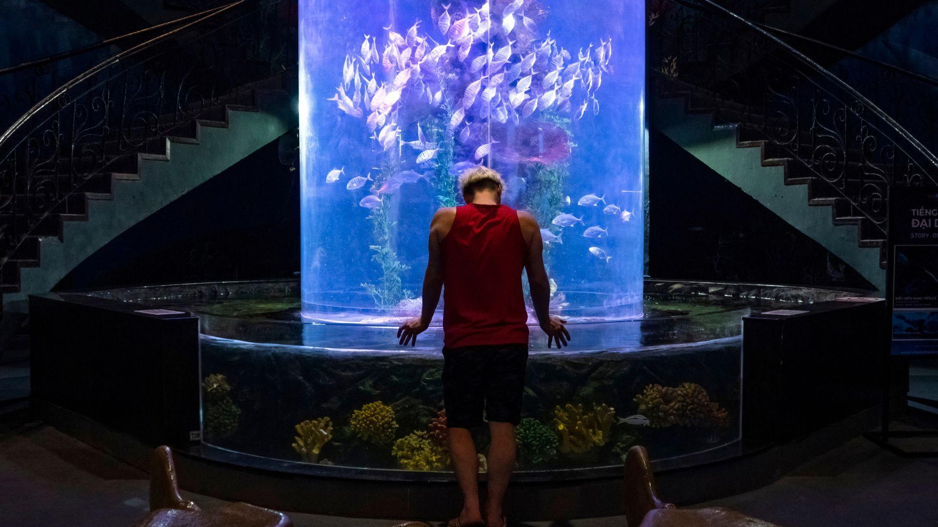 Acrylic Aquarium Dubai