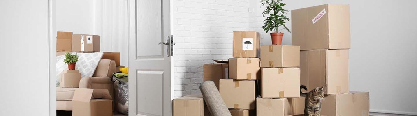 Movers And Packers In Dubai