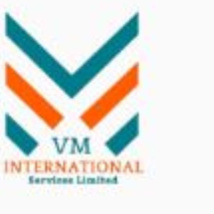 Vm International