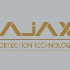 Gold   Detectors