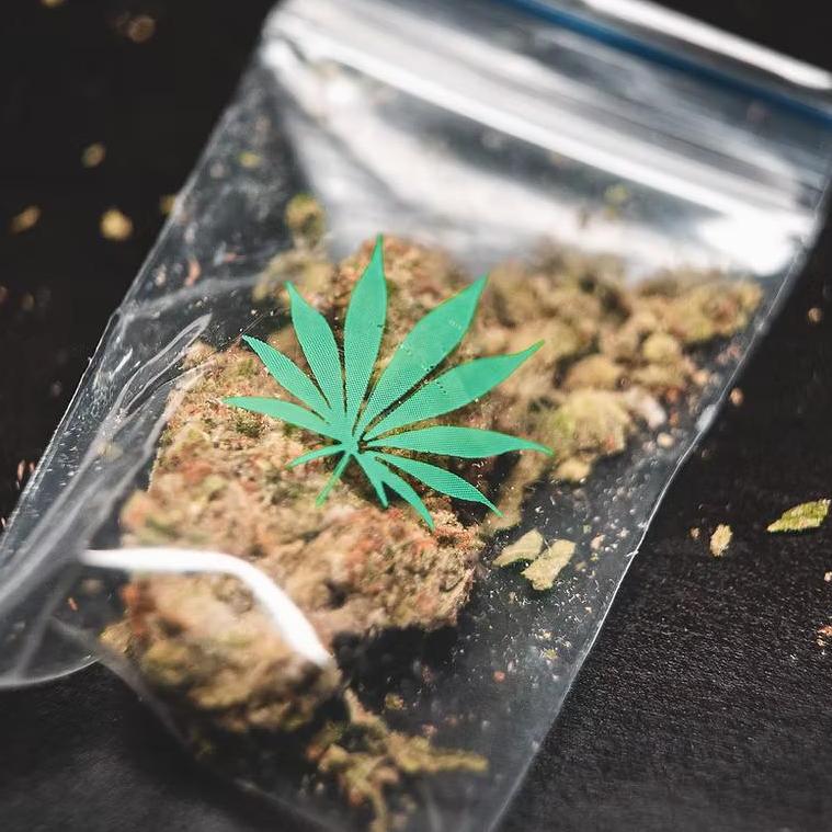 Virginia Marijuana