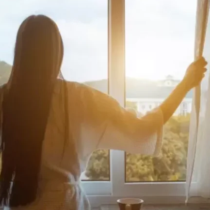 Window film  singapore