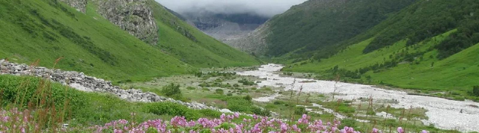 Valley Of Flowers