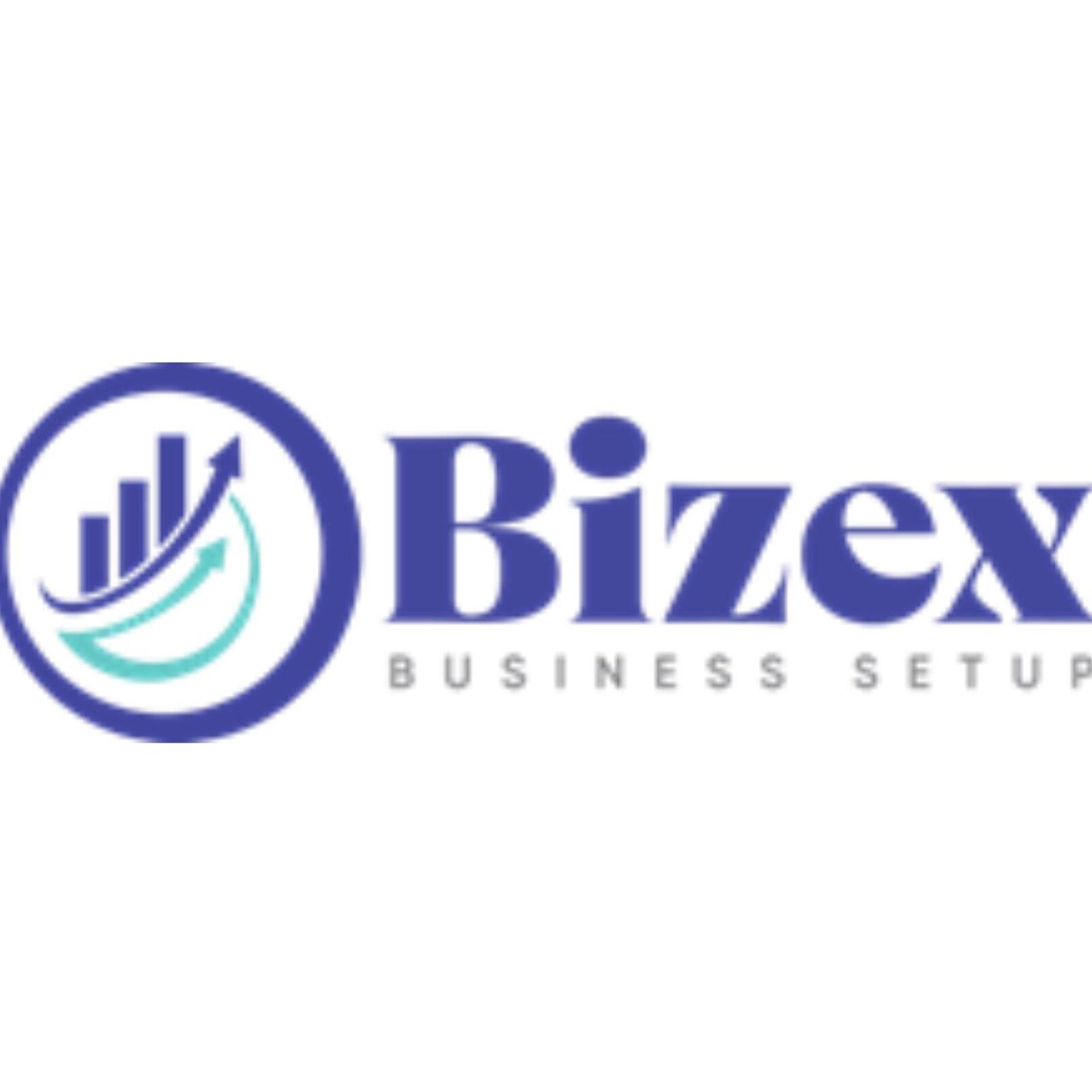 Bizex LLC