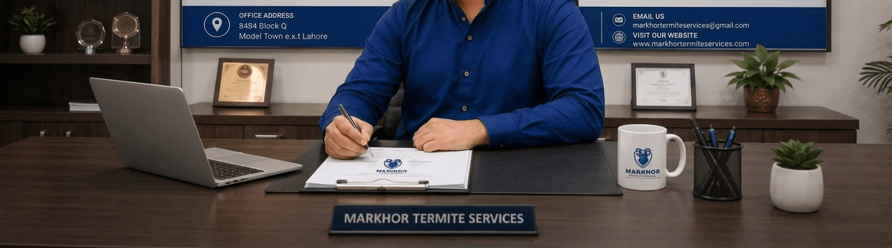 Markhor Termite