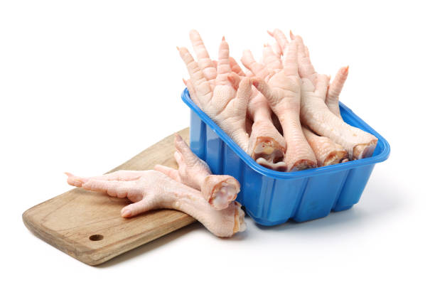 sngine_80375f0e1286cc4c36a4b626a3e4a44a.png