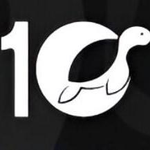 10 turtle