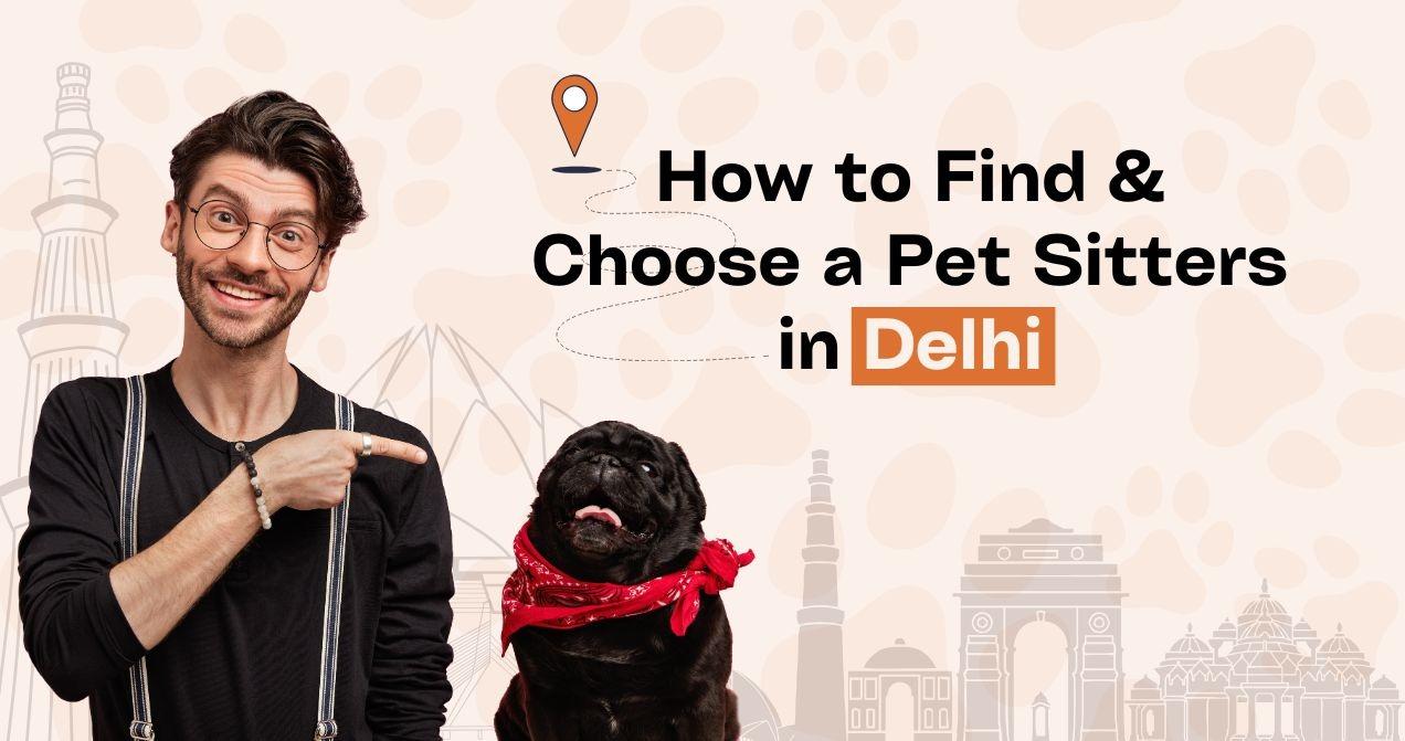 How to Find & Choose a Pet Sitters in Delhi