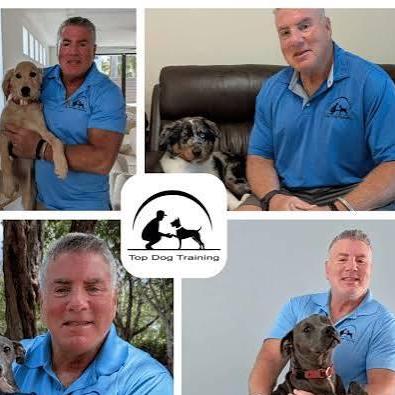 Top Dog Trainer