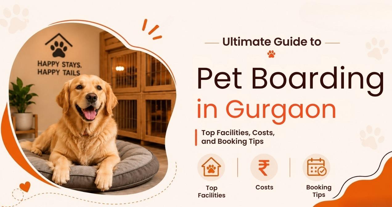 Ultimate Guide to Pet Boarding in Gurgaon: Top Facilities, Costs, and Booking Tips