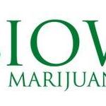 Iowamarijuana Card7